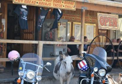 Voyage aux Etats-Unis de Carole C.