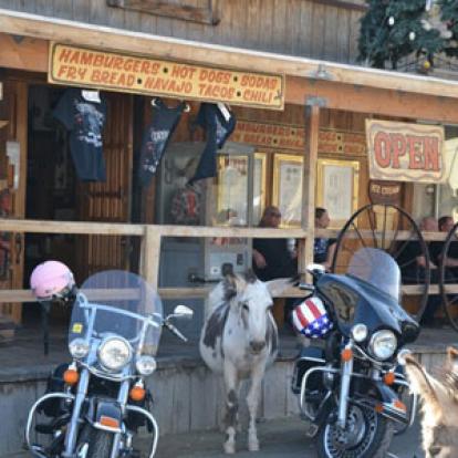 Voyage aux Etats-Unis de Carole C.