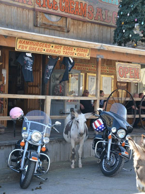 Voyage aux Etats-Unis de Carole C.