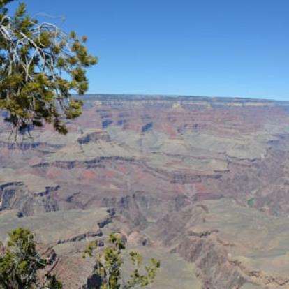 Voyage aux Etats-Unis de Carole C.