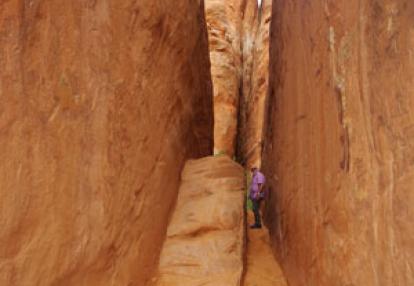 Voyage aux Etats-Unis de Mireille