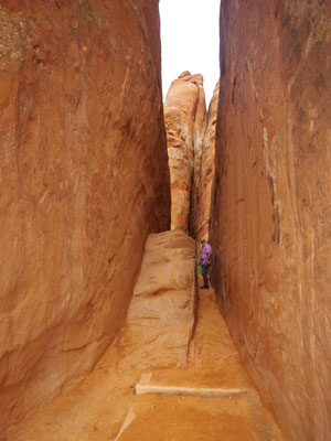 ©Mireille A. - Tous Droits Réservés Voyage aux Etats-Unis de Mireille