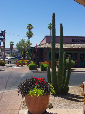 ©Mireille A. - Tous Droits Réservés Voyage aux Etats-Unis de Mireille