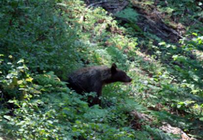Voyage aux Etats-Unis de Christine