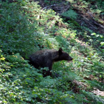 Voyage aux Etats-Unis de Christine