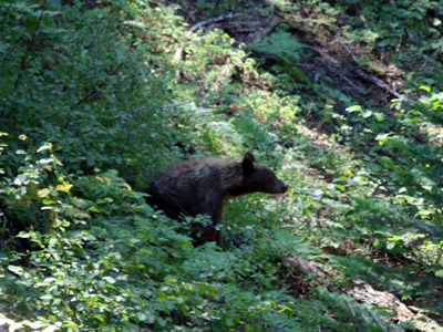 Voyage aux Etats-Unis de Christine