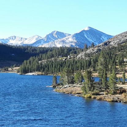 Voyage aux Etats-Unis de Jacqueline