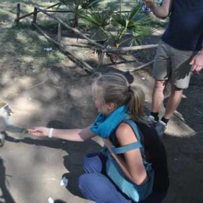 Marché aux poissons d'Awassa