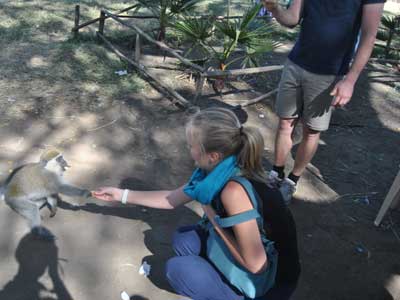 Marché aux poissons d'Awassa