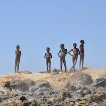 Marché aux poissons d'Awassa