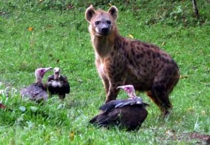 Voyage en Ethiopie de Stéphanie