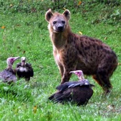 Voyage en Ethiopie de Stéphanie