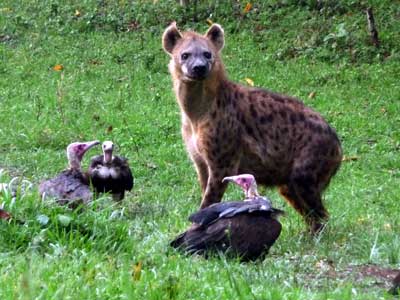 Voyage en Ethiopie de Stéphanie