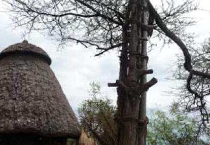 L'arbre des générations village Konso