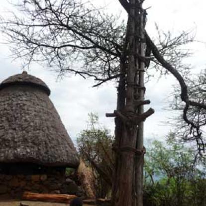 L'arbre des générations village Konso