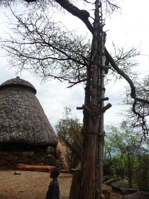 L'arbre des générations village Konso