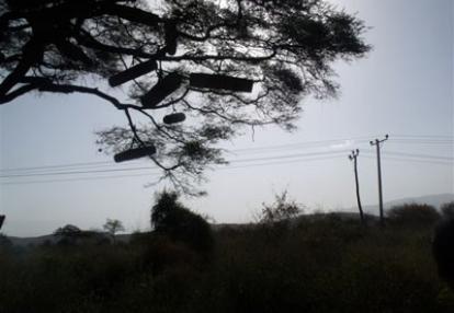 Le Voyage en Ethiopie de Patricial