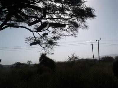 Le Voyage en Ethiopie de Patricial