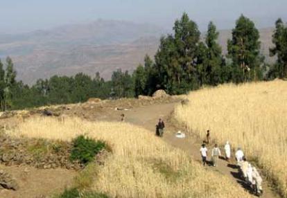 ©Famille R. - Tous Droits réservés Le Voyage en Ethiopie de la Famille R.