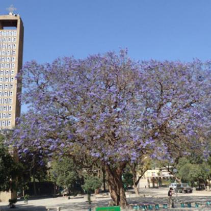 Le Voyage en Ethiopie de jean-Pierre et sa femmer