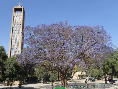 Le Voyage en Ethiopie de jean-Pierre et sa femmer