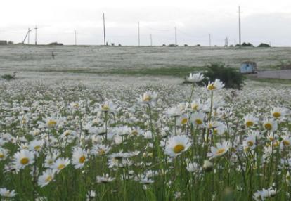 Voyage en Géorgie d'Odile