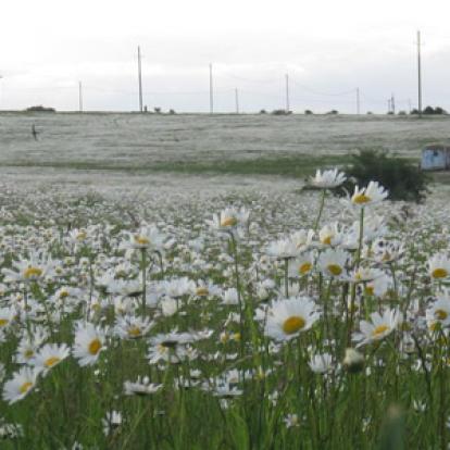 Voyage en Géorgie d'Odile