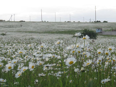Voyage en Géorgie d'Odile