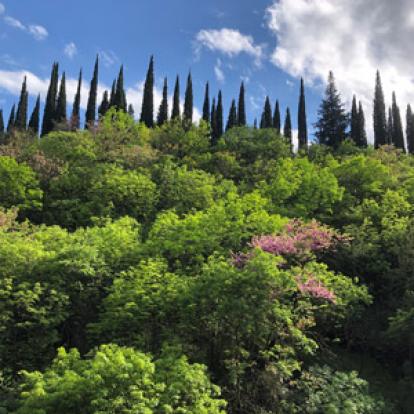 ©Mathieu R. - Tous Droits Réservés ©Mathieu R. - Tous Droits réservés