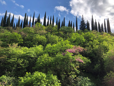 ©Mathieu R. - Tous Droits réservés ©Mathieu R. - Tous Droits réservés
