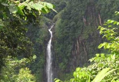 Voyage aux Caraïbes de Gérard