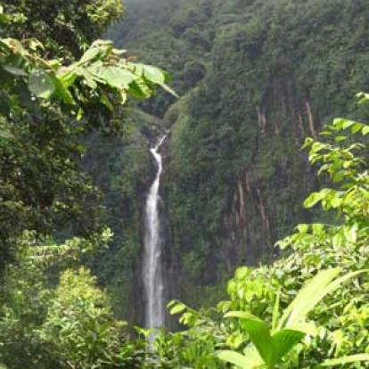 ©Gérard M.- Tous Droits Réservés Voyage aux Caraïbes de Gérard