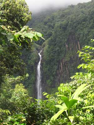 ©Gérard M.- Tous Droits réservés Voyage aux Caraïbes de Gérard