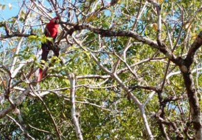 Voyage au Guatemala de Jacques