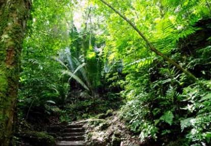 Voyage au Guatemala de Jacques