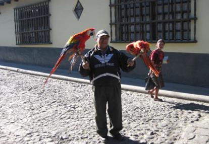 Voyage au Guatemala de Michelle P.