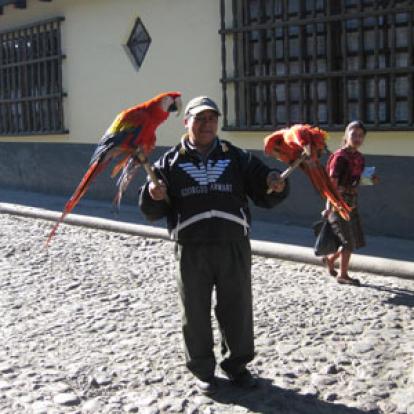 Voyage au Guatemala de Michelle P.