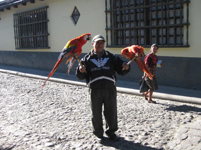 Voyage au Guatemala de Michelle P.