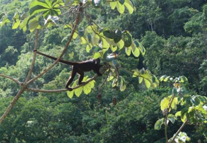 Voyage au Guatemala de la Famille de Manuela