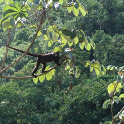 Voyage au Guatemala de la Famille de Manuela