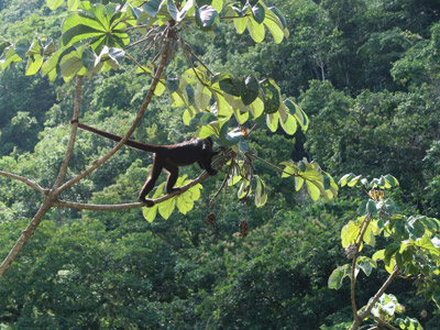 Voyage au Guatemala de la Famille de Manuela