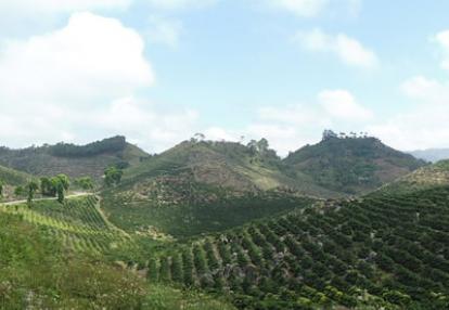 Voyage au Guatemala de Daniel