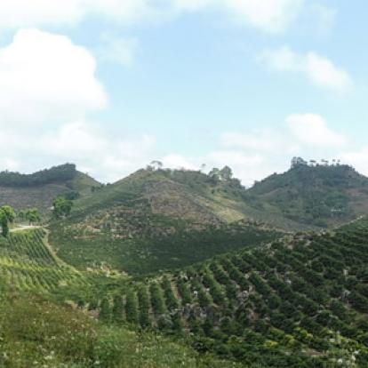 ©Daniel T. - Tous Droits Réservés Voyage au Guatemala de Daniel