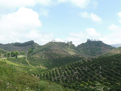 ©Daniel T. - Tous Droits réservés Voyage au Guatemala de Daniel