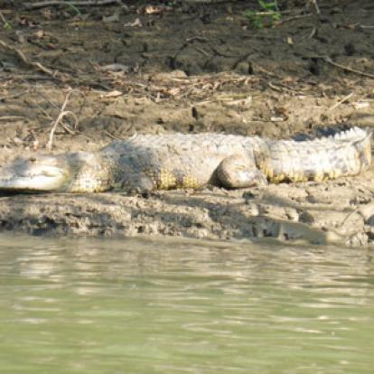 ©Daniel T. - Tous Droits Réservés Voyage au Guatemala de Daniel