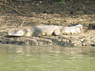 ©Daniel T. - Tous Droits réservés Voyage au Guatemala de Daniel
