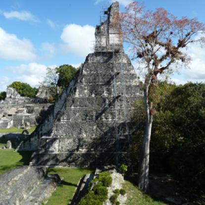 Tikal Voyage au Guatemala d'Alexis