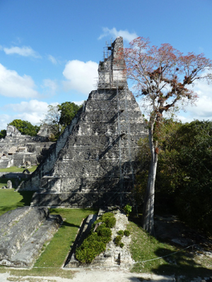 tikal  Voyage au Guatemala d'Alexis