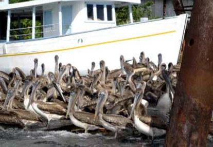 Voyage au Guatemala de Christian