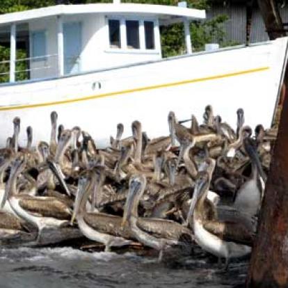 Voyage au Guatemala de Christian